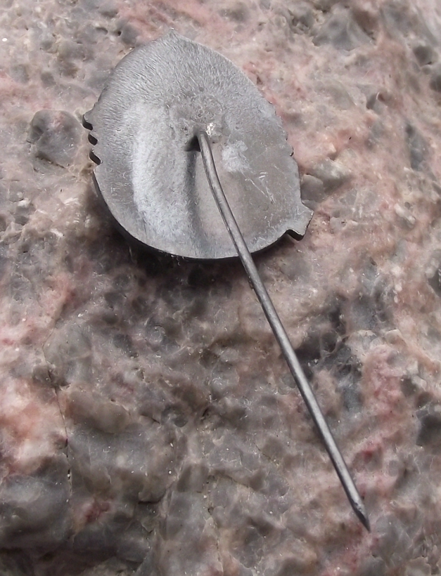 1976 Serbian Hunting Association 80th Anniversary Hunters Pin Badge