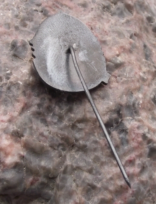 1976 Serbian Hunting Association 80th Anniversary Hunters Pin Badge