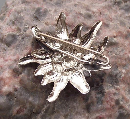 Vintage Austrian Hand Painted Edelweiss Mountain Flower Hunting Pin Badge