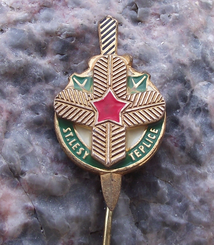 Vintage VLS Military Forestry Management Pine Twig Dagger Teplice Pin Badge - Badgecrazy