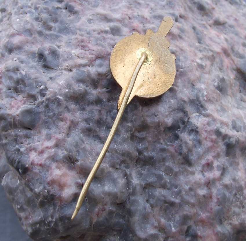 Vintage VLS Military Forestry Management Pine Twig Dagger Teplice Pin Badge - Badgecrazy