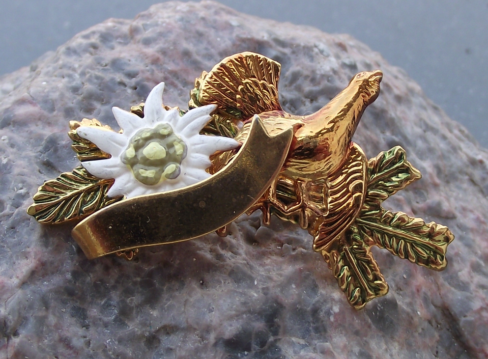 Vintage Capercaillie Giant Grouse and Edelweiss Flower Pin Badge
