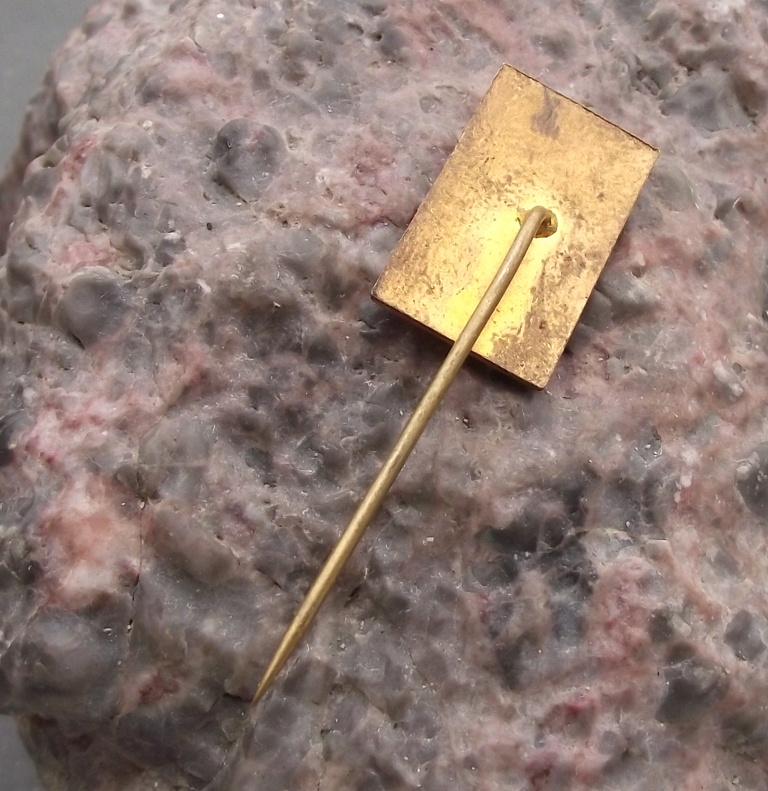 Vintage President Alexander Dubcek Czechoslovakia Communist Photo Pin Badge - Badgecrazy