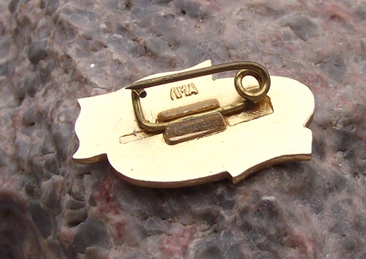 Vintage National Front for the Liberation of South Vietnam War Pin Badge - Badgecrazy