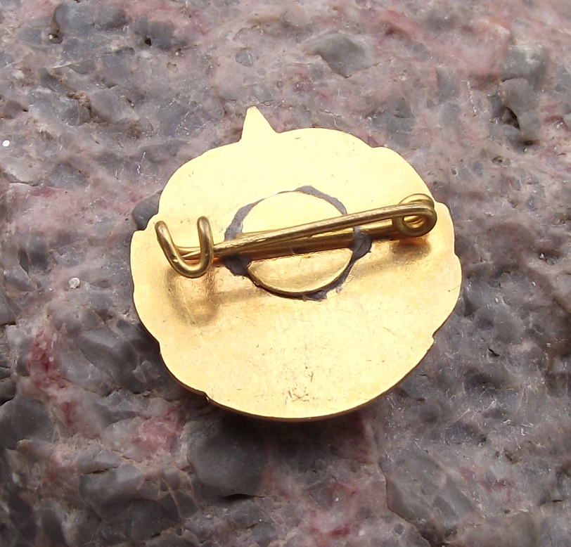 1988 Soviet Union Flag of the Lithuanian SSR Lithuania Anniversary Pin Badge - Badgecrazy