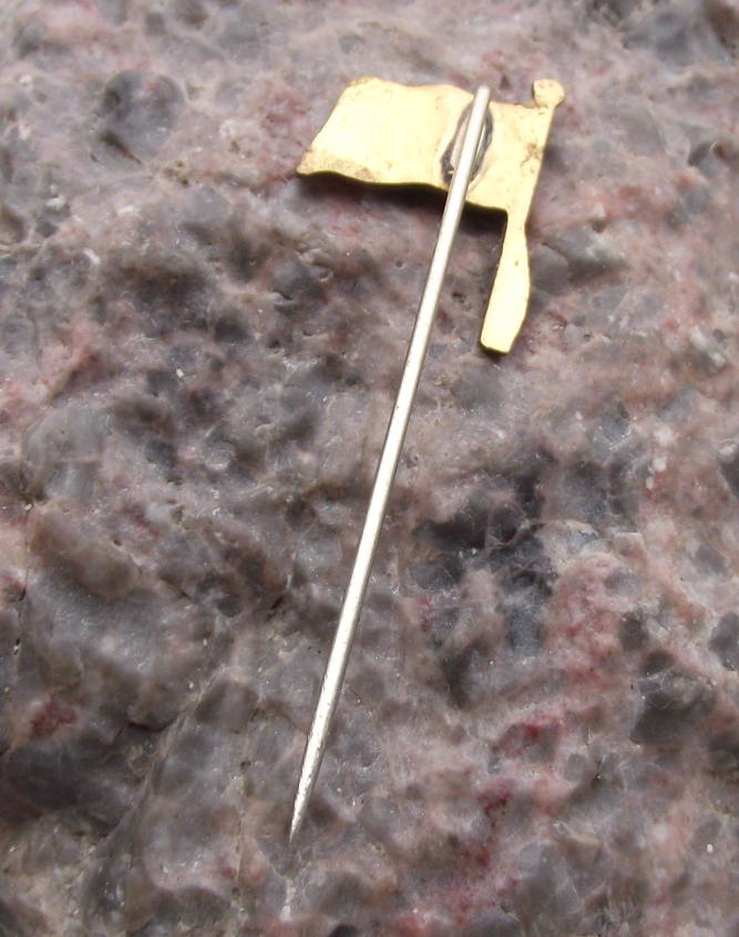 Vintage East Germany DDR GDR German Flag Pin Badge - Badgecrazy