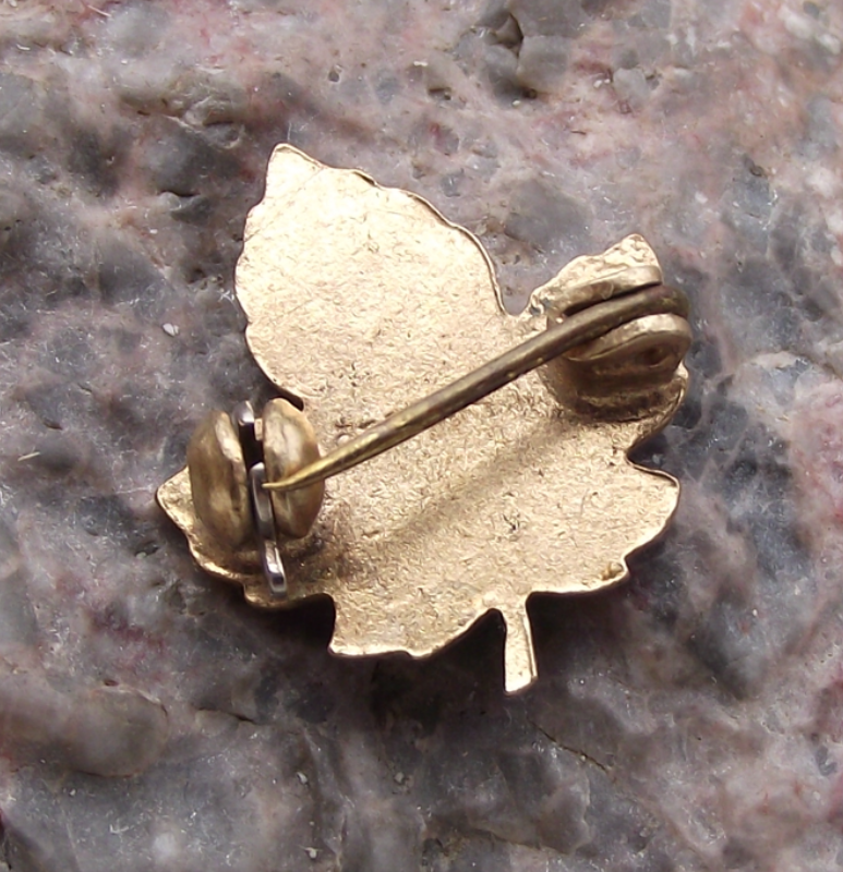 Vintage Canada Autumn Maple Leaf Fall Canadian Enamel Pin Badge - Badgecrazy