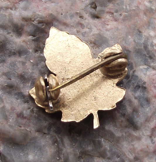 Vintage Canada Autumn Maple Leaf Fall Canadian Enamel Pin Badge - Badgecrazy