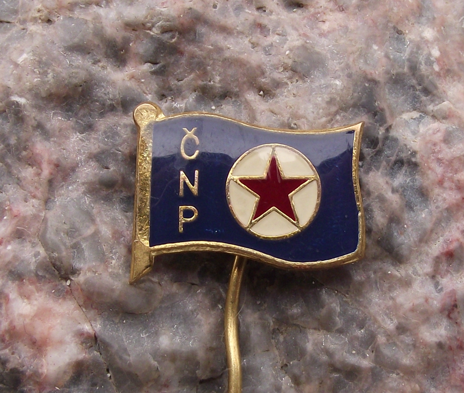Vintage CNP Czechoslovakia Maritime Navigation Company Flag Pin Badge
