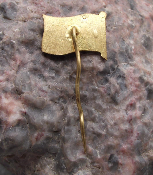 Vintage CNP Czechoslovakia Maritime Navigation Company Flag Pin Badge - Badgecrazy