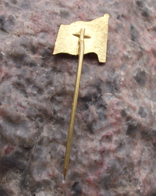 Vintage Czech Waterways CSPB Ship Boat Transport Shipping Flag Pin Badge - Badgecrazy