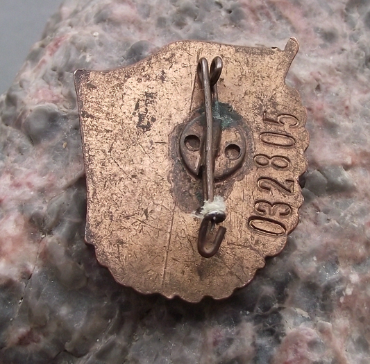 1955 FDJ Freie Deutsche Jugend East German Good Student Pin Badge