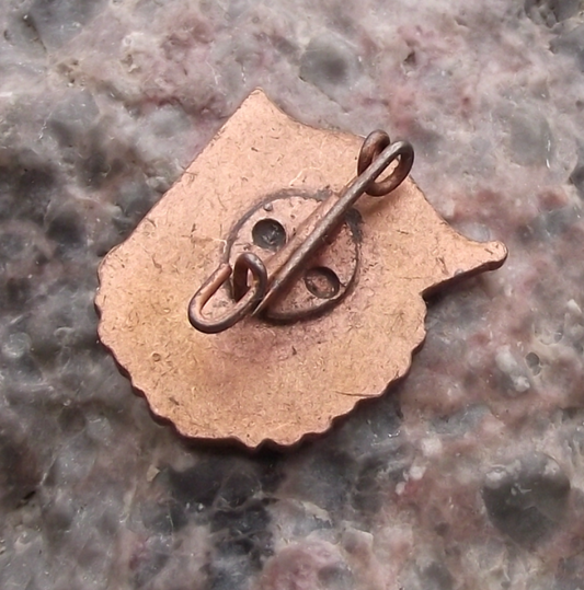 Vintage FDJ Freie Deutsche Jugend East German Good Student Pin Badge