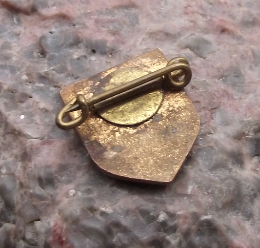 Vintage FDJ Freie Deutsche Jugend East German Youth Members Pin Badge - Badgecrazy