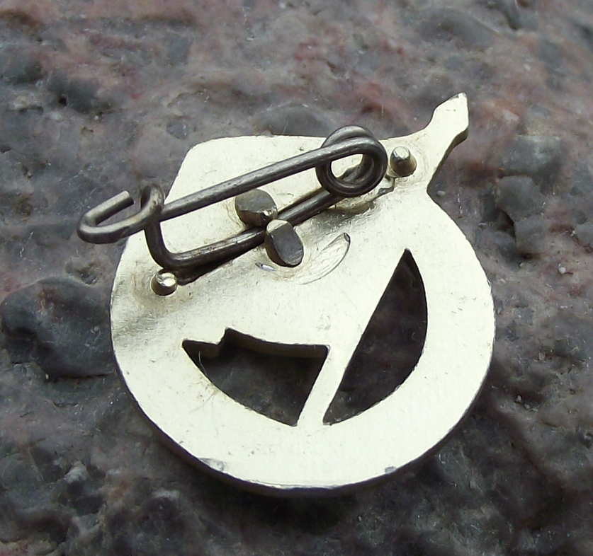 1967 FDJ Freie Deutsche Jugend East German Youth 8th Parliament Pin Badge