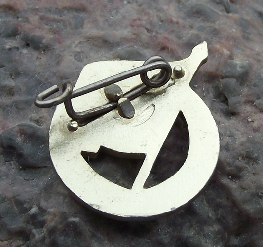 1967 FDJ Freie Deutsche Jugend East German Youth 8th Parliament Pin Badge