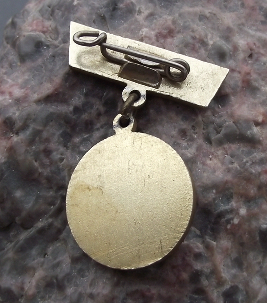 1959 FDJ Freie Deutsche Jugend East German Youth 6th Parliament Pin Badge