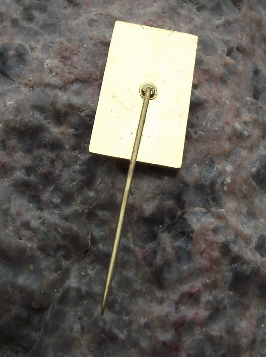 Vintage AP Antonin Petrof Pianos Czech Piano Makers Crest Pin Badge