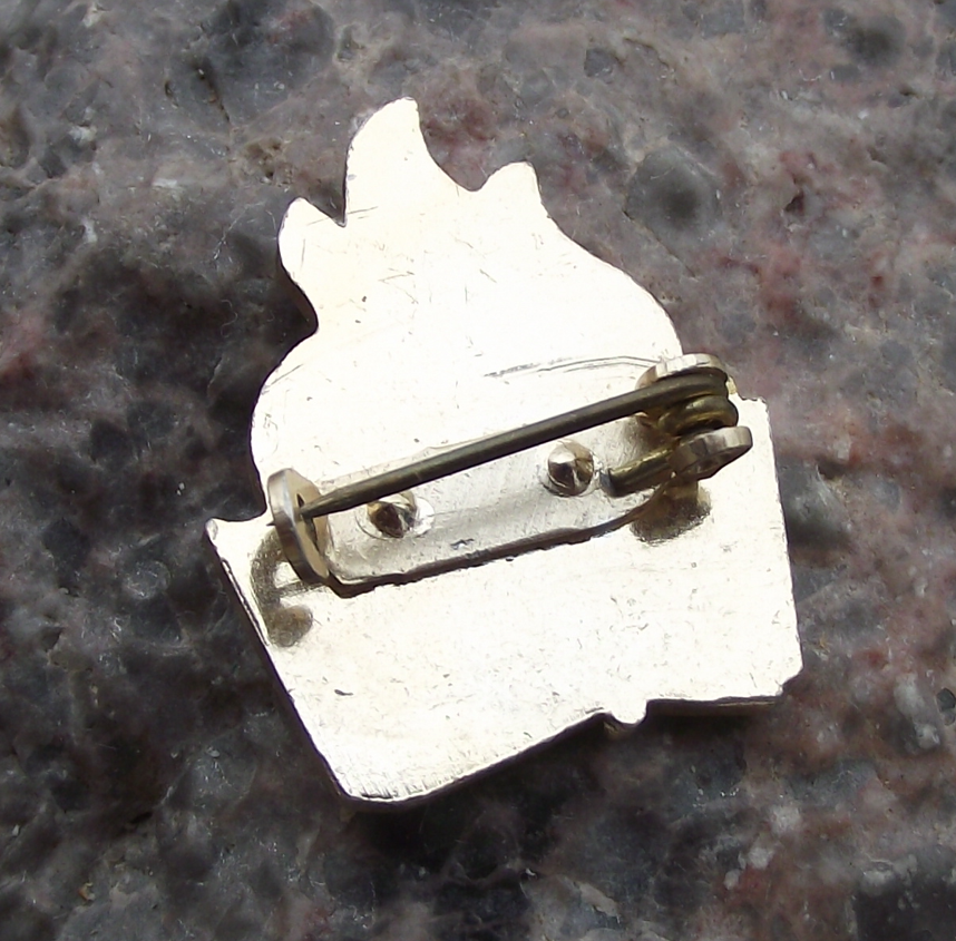 .Vintage Czech Pioneer Pionyr Youth Communist Scouts Movement Logo Pin Badge - Badgecrazy