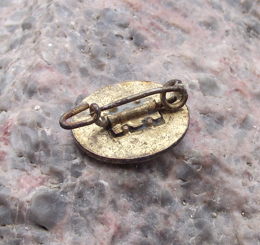 Vintage Socialist Unity Party of Germany Handshake Logo Members Pin Badge