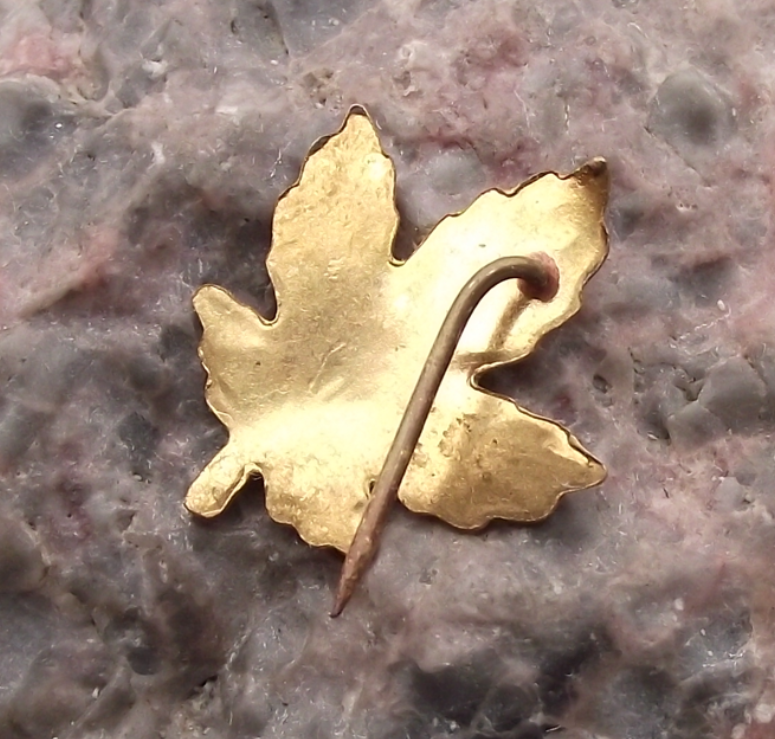 Vintage Golden Canada Text Textured Maple Leaf Canadian Pin Badge - Badgecrazy