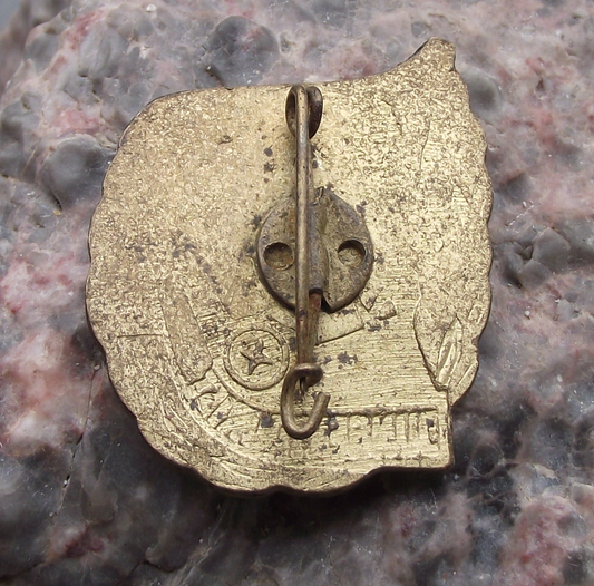 Vintage Ernst Thalmann Pioneers East German Junger Tourist Tent Pin Badge - Badgecrazy