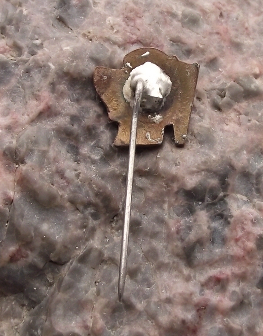 Vintage Soviet Union Poland Polish Russian Friendship Flag Pin Badge - Badgecrazy