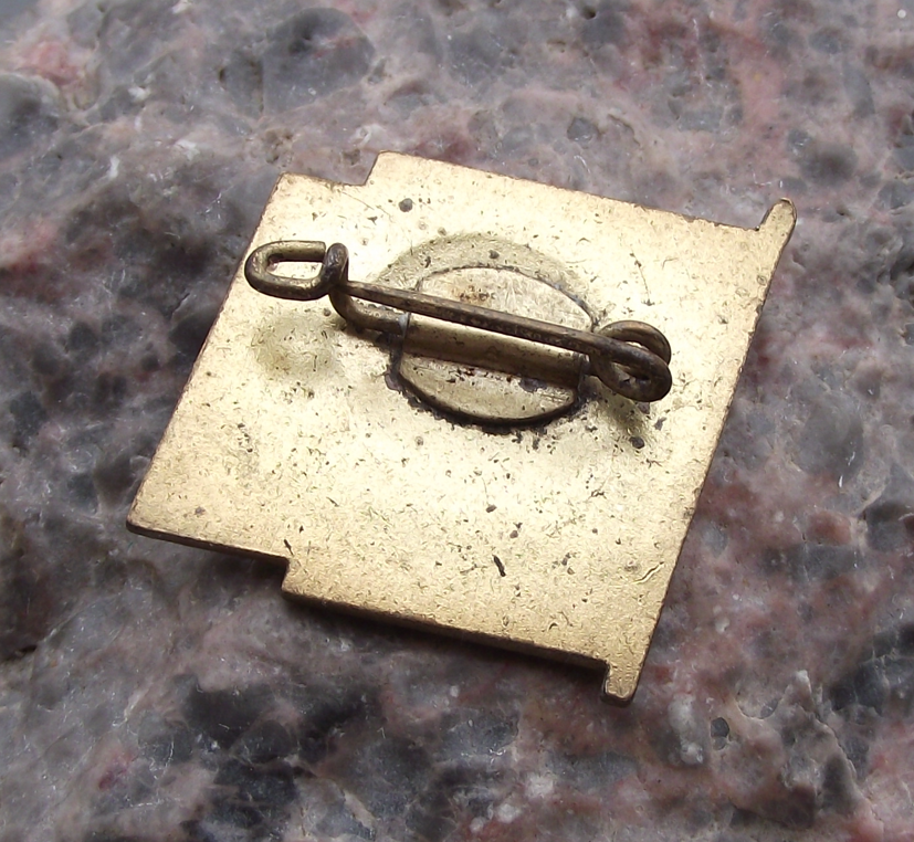 1972 Ernst Thalmann Pioneer GDR DDR East German Youth Blue Flag Pin Badge - Badgecrazy