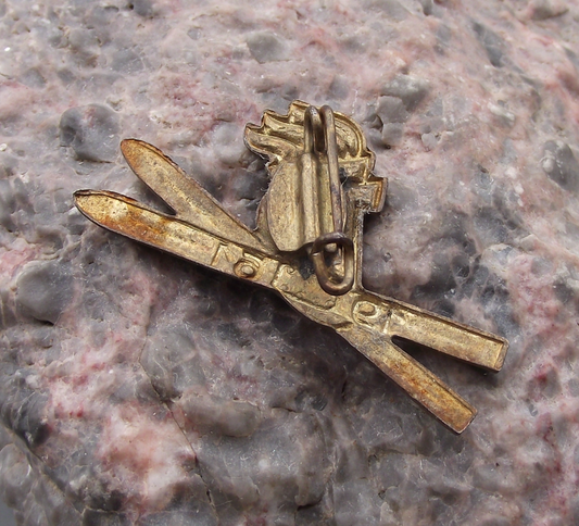 1961 Thalmann Pioneers East German Youth Organisation DDR Skiing Award Pin Badge - Badgecrazy