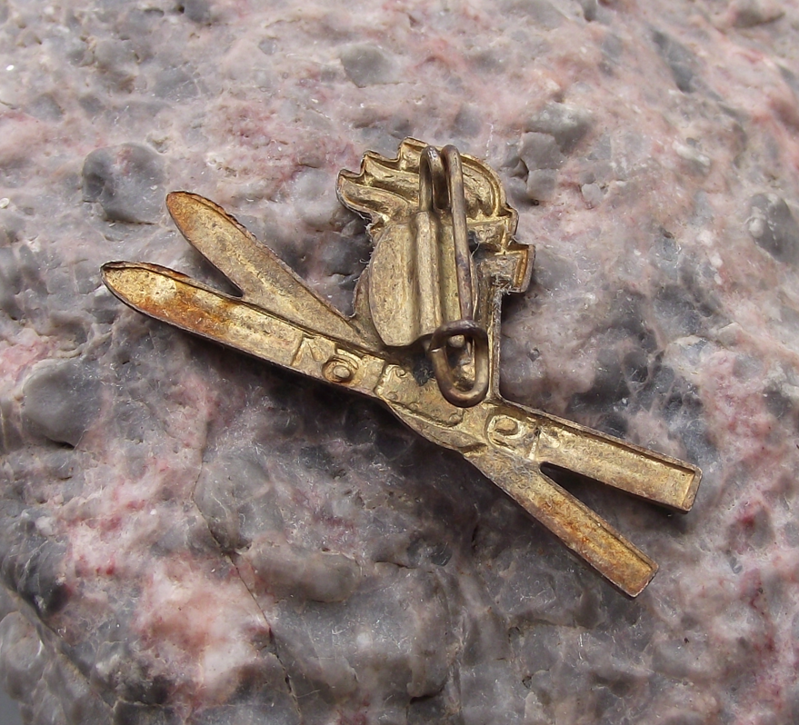 1961 Thalmann Pioneers East German Youth Organisation DDR Skiing Award Pin Badge - Badgecrazy