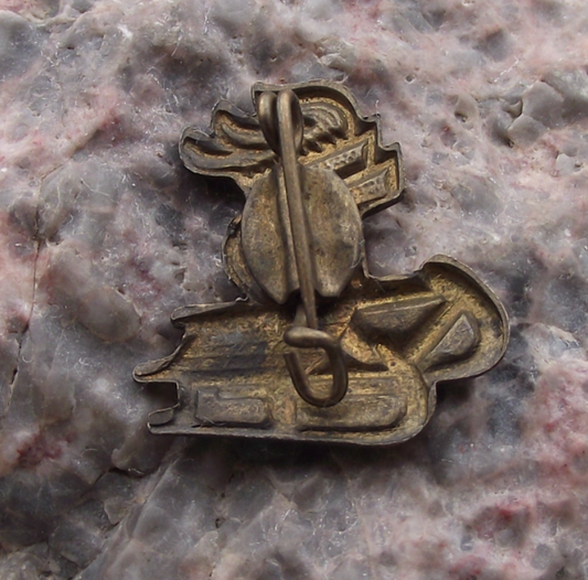 Vintage Thalmann Pioneer East Germany Youth Toboggan DDR Sledge Pin Badge - Badgecrazy