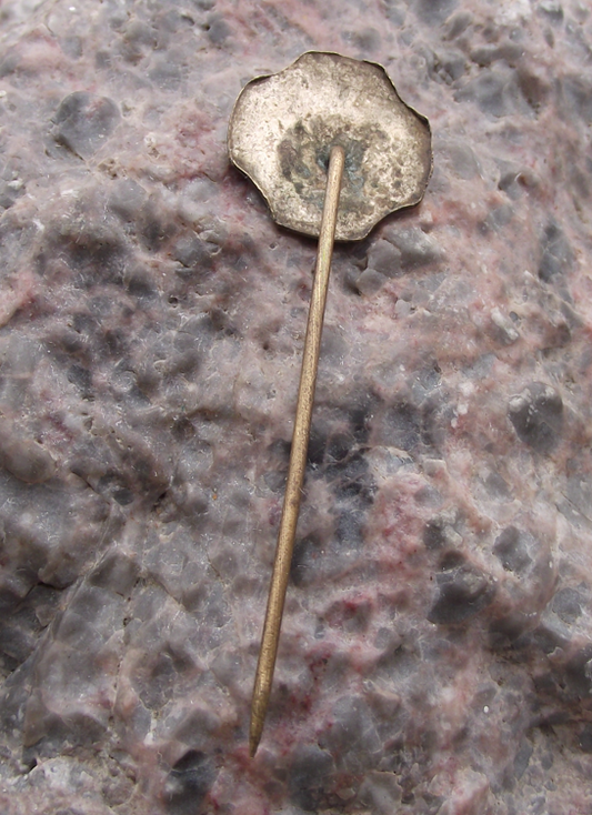 Vintage Czechoslovakia Deer Stag Hunting Hunters Pin Badge