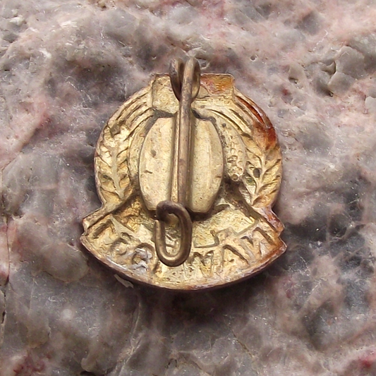 1961 NAW Nationales Aufbauwerk East German Voluntary Work DDR GDR Pin Badge - Badgecrazy