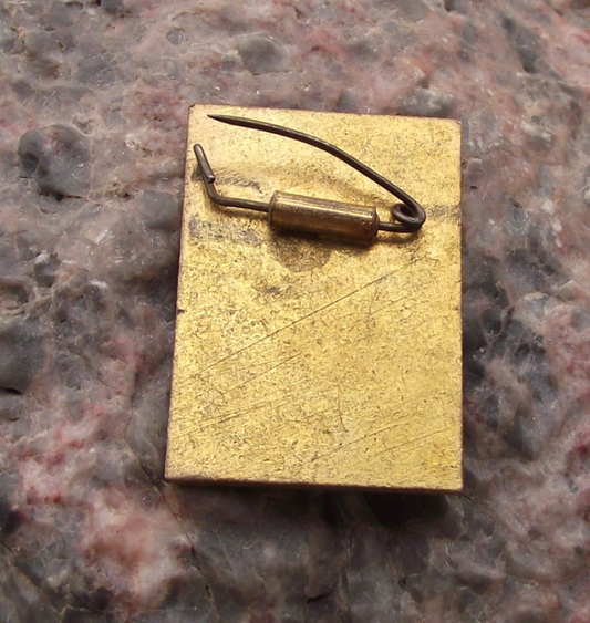 1959 Mongolia Peoples Republic Flag 35th Anniversary Pin Badge - Badgecrazy