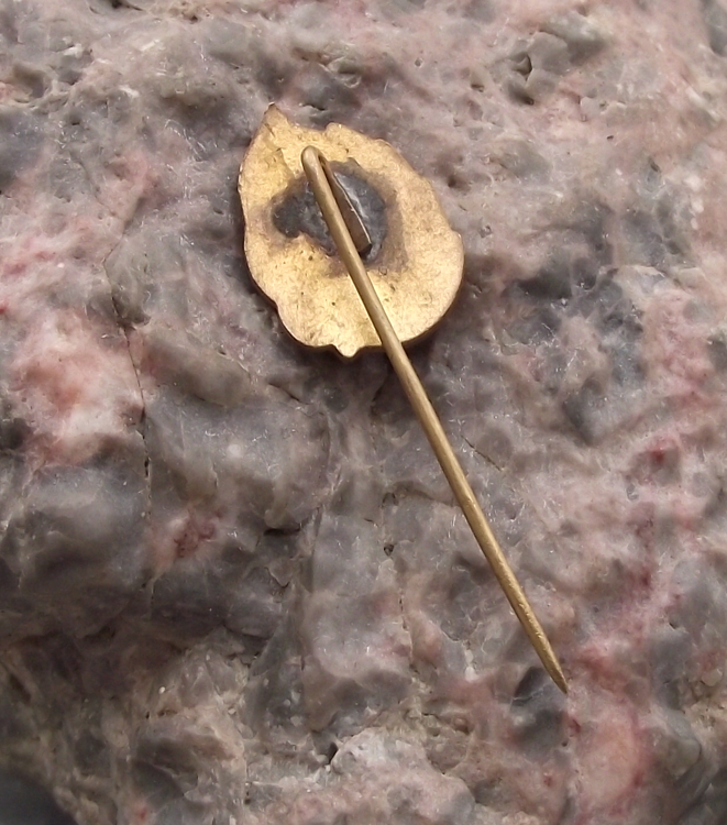 Vintage ARLUS Romania Russia Soviet Friendship Flags Pin Badge - Badgecrazy