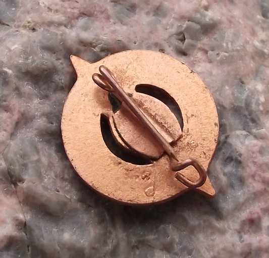 Vintage East German Touristen Abzeichen Compass Laurels Pin Badge - Badgecrazy