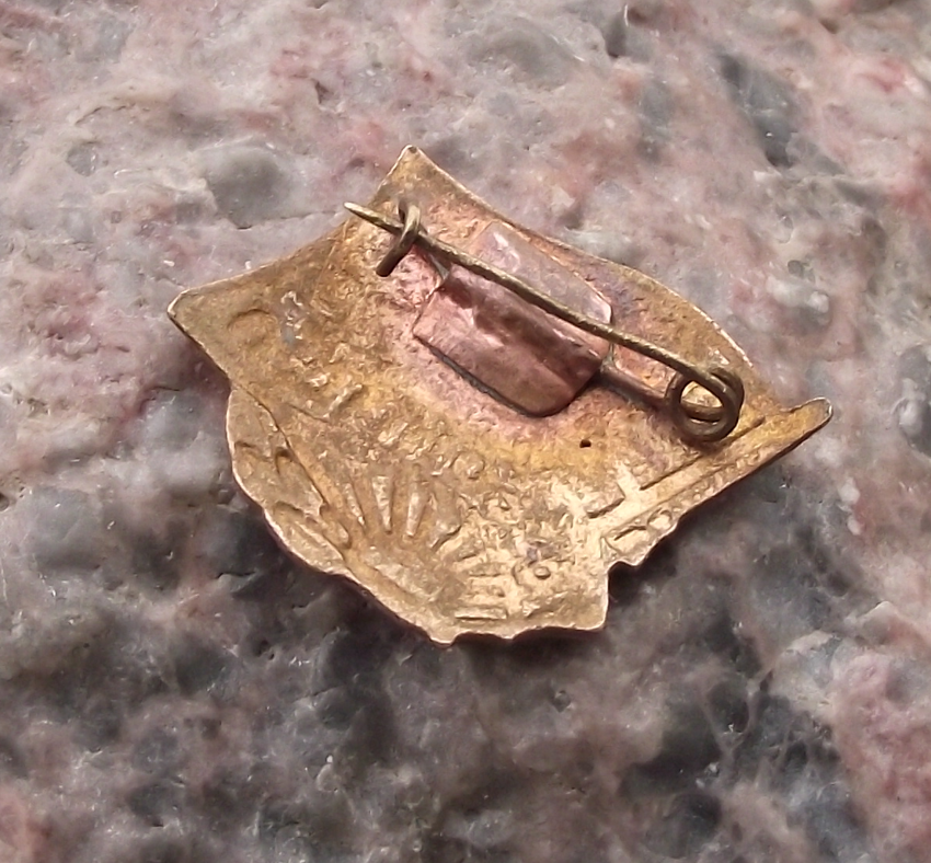 Vintage Georgia Gantiadi Abkhazia Regional Flag Pin Badge - Badgecrazy