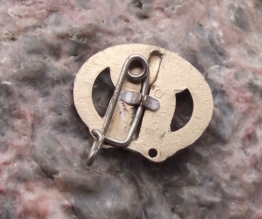 Vintage DTSB Deutsches Turn Sportfest East German DDR Logo Pin Badge - Badgecrazy