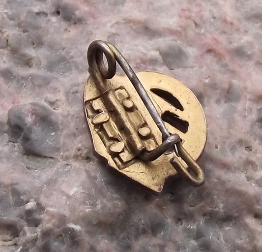 1950's DDR Society East German Soviet Friendship GDR USSR Flags Pin Badge - Badgecrazy