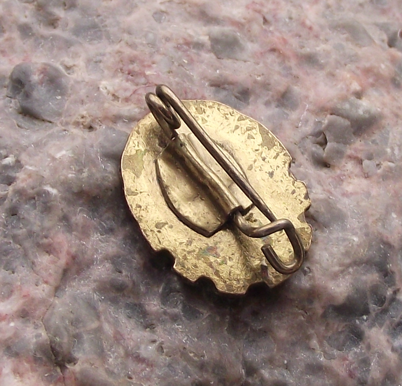 Vintage GST Gesellschaft Sport Technik East Germany DDR Anchor Pin Badge - Badgecrazy