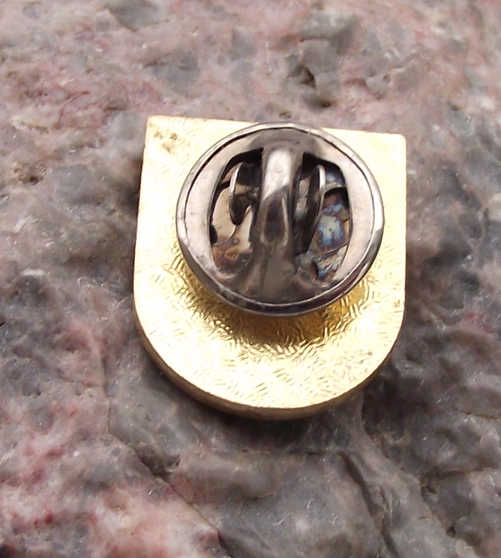 Heidelberg German City Skyline River Souvenier Pin Badge - Badgecrazy