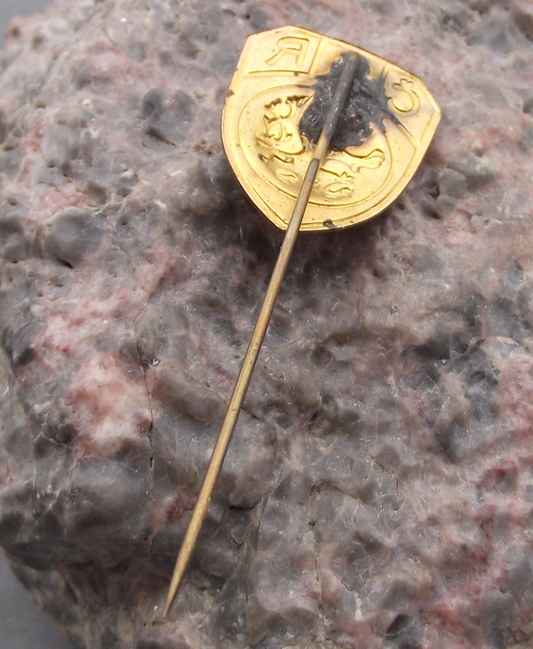 Vintage Czechoslovakia Rampant Lion Coat of Arms Shield Pin Badge - Badgecrazy