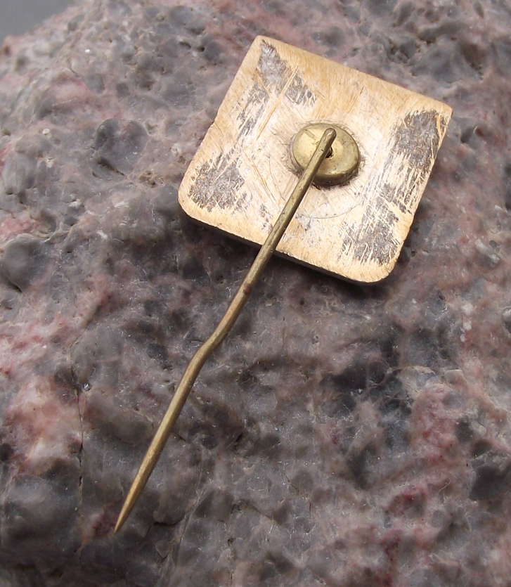 Vintage Czechoslovakia Rampant Lion Greater Coat of Arms Shield Pin Badge - Badgecrazy