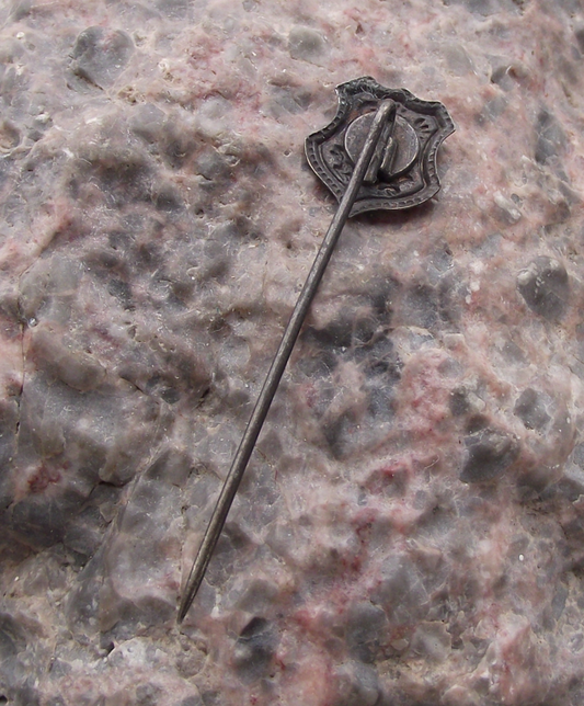 Vintage Czechoslovakia Rampant Lion Coat of Arms Red Shield Pin Badge - Badgecrazy