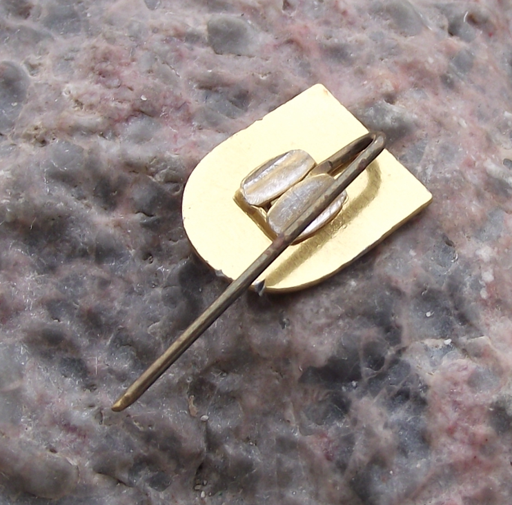 Vintage Berlin East Germany DDR Bear Coat of Arms Crest Pin Badge - Badgecrazy