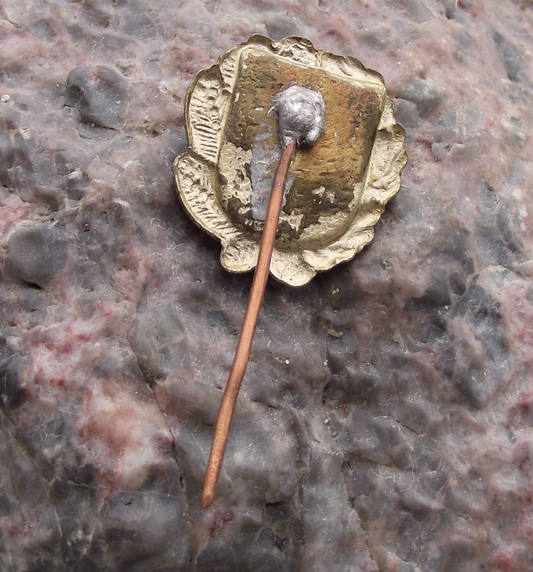 Vintage Dresden East Germany DDR Coat of Arms Lion Crest Pin Badge - Badgecrazy