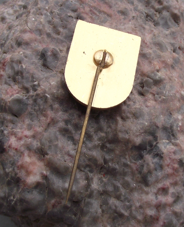 Vintage Burgenland Uninhabited Austrian Region Heraldic Crest Pin Badge - Badgecrazy