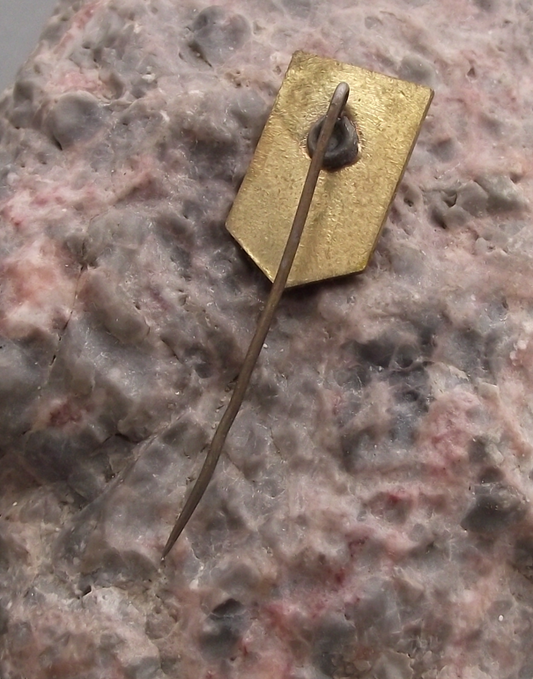 Vintage Dresden East Germany DDR Coat of Arms Rampant Lion Pin Badge - Badgecrazy