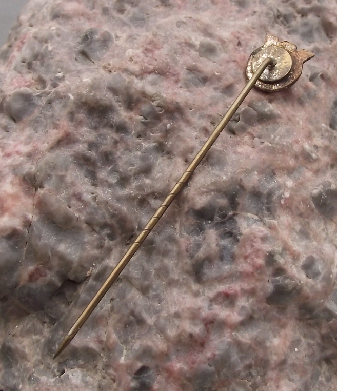 Vintage FC Linz SK Voest Austria Football Soccer Team Pin Badge - Badgecrazy