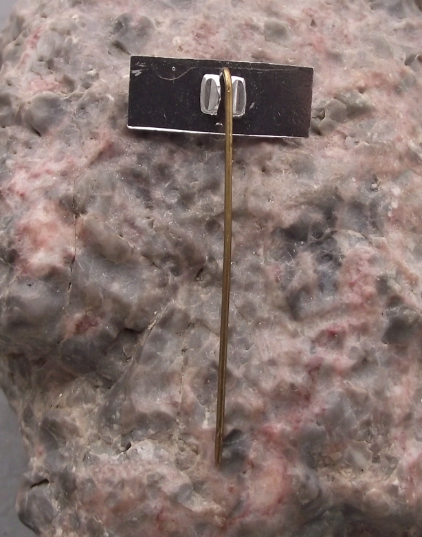 Vintage Hoechst Estel AG German Chemical Engineering Steel Company Pin Badge - Badgecrazy